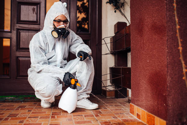 Attic and Crawl Space Rodent Treatment in Bargaintown