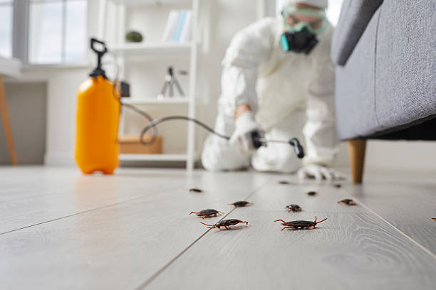 Commercial Rodent Management in Bargaintown